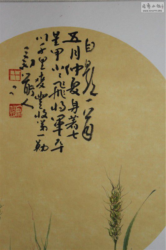 ֲ (6).jpg