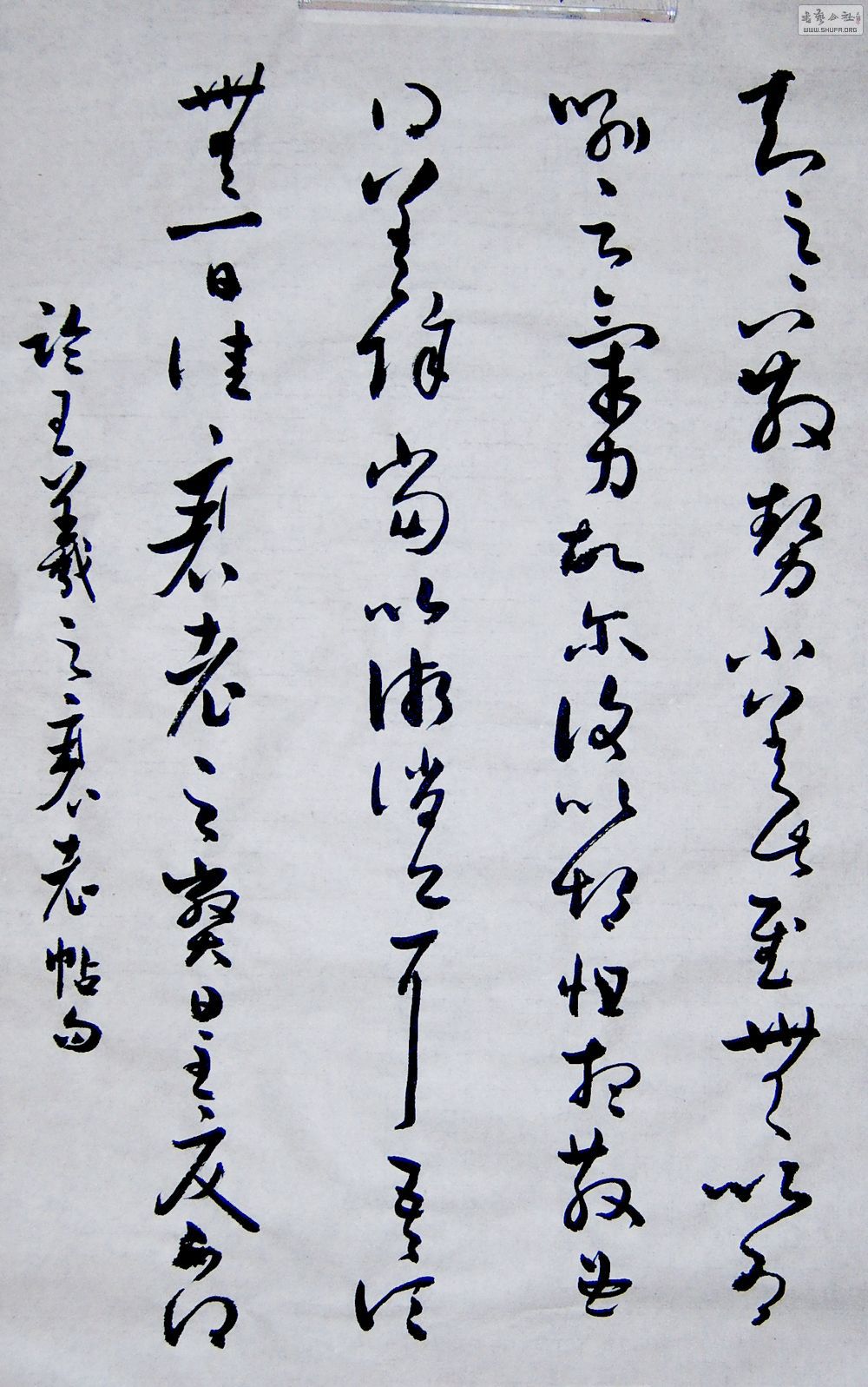 SUC54679.JPG