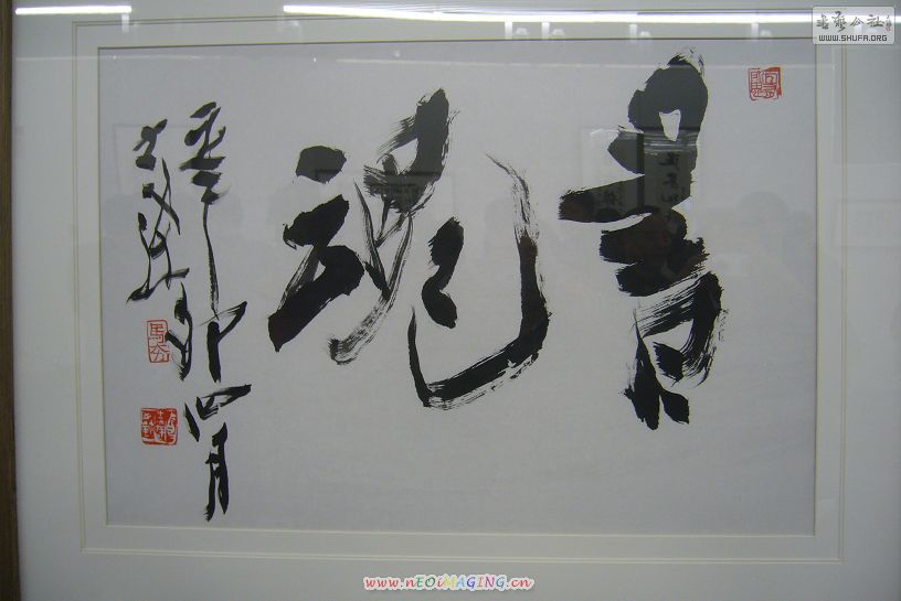 P1250063.JPG