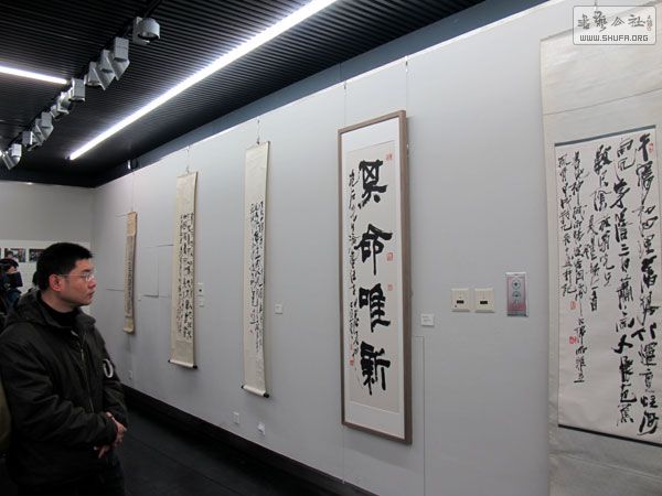 16113680_445016.jpg