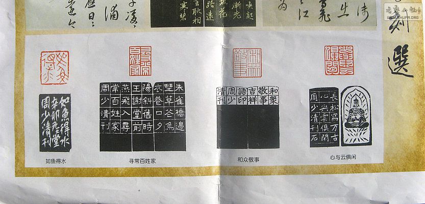 Ƭ 16502.jpg