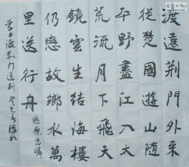 STP6208263pg_.jpg