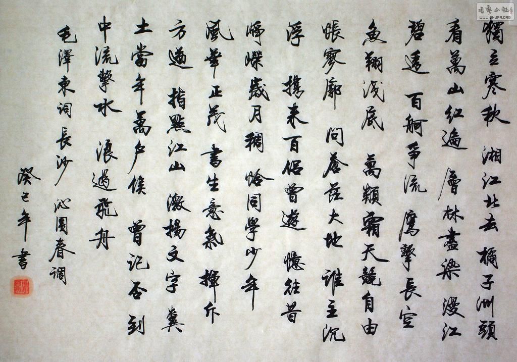 IMGP3043.jpg