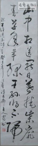 鷨.jpg