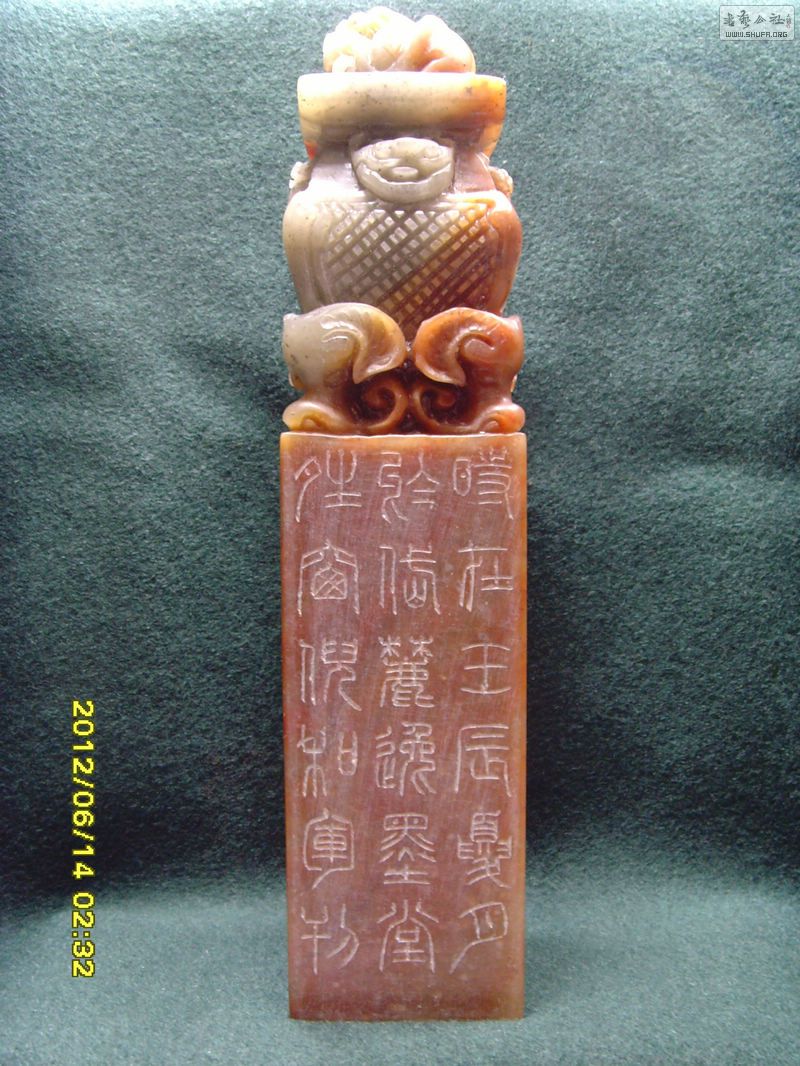 SNV31811.JPG
