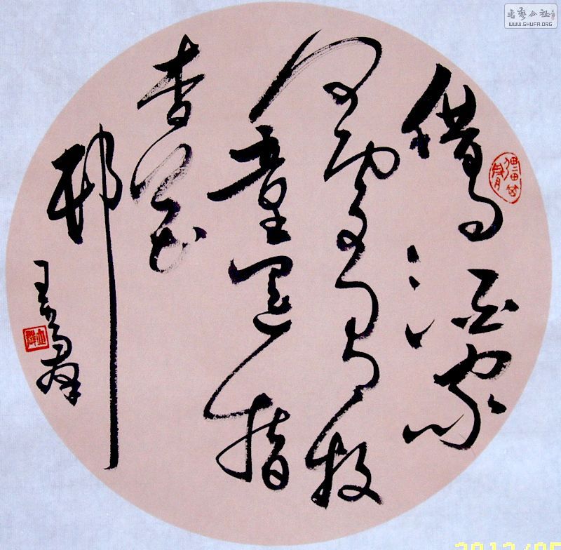 SUC54776.JPG