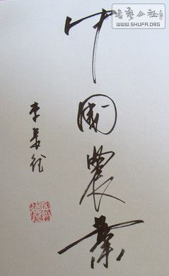 DSC07585.JPG