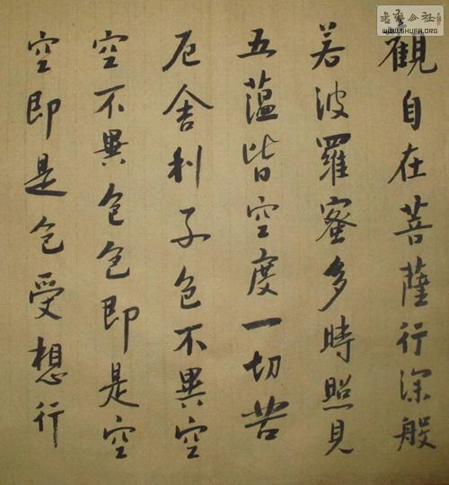 Т鷨Ʒ