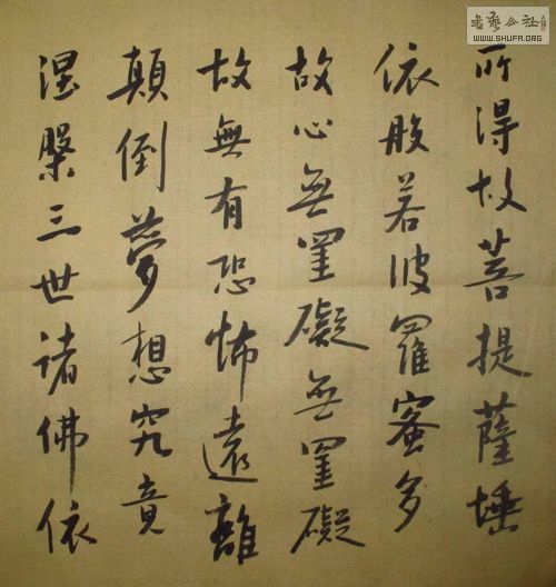 Т鷨Ʒ