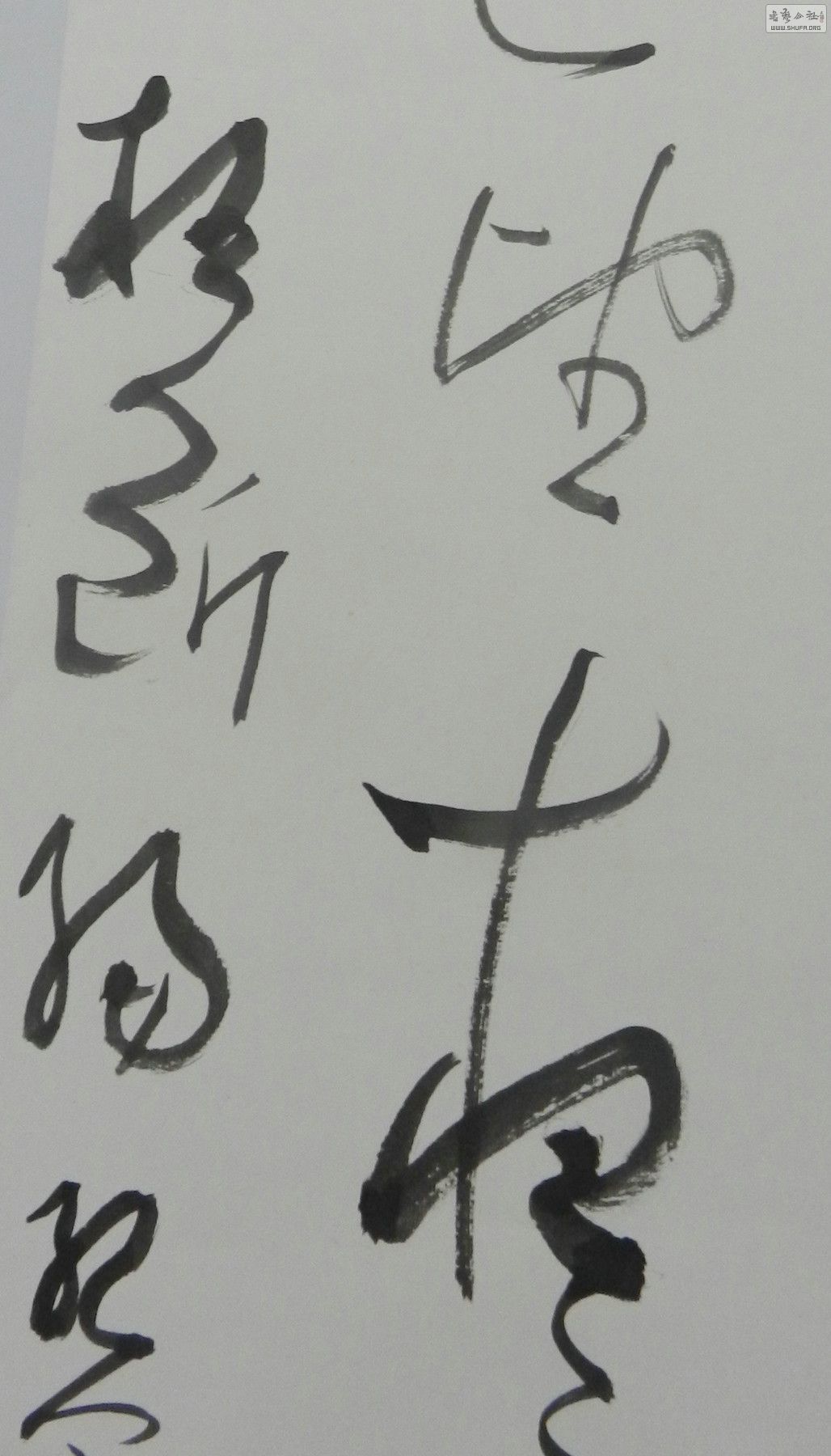 13013016089855b21f82fd254d鷨6.jpg