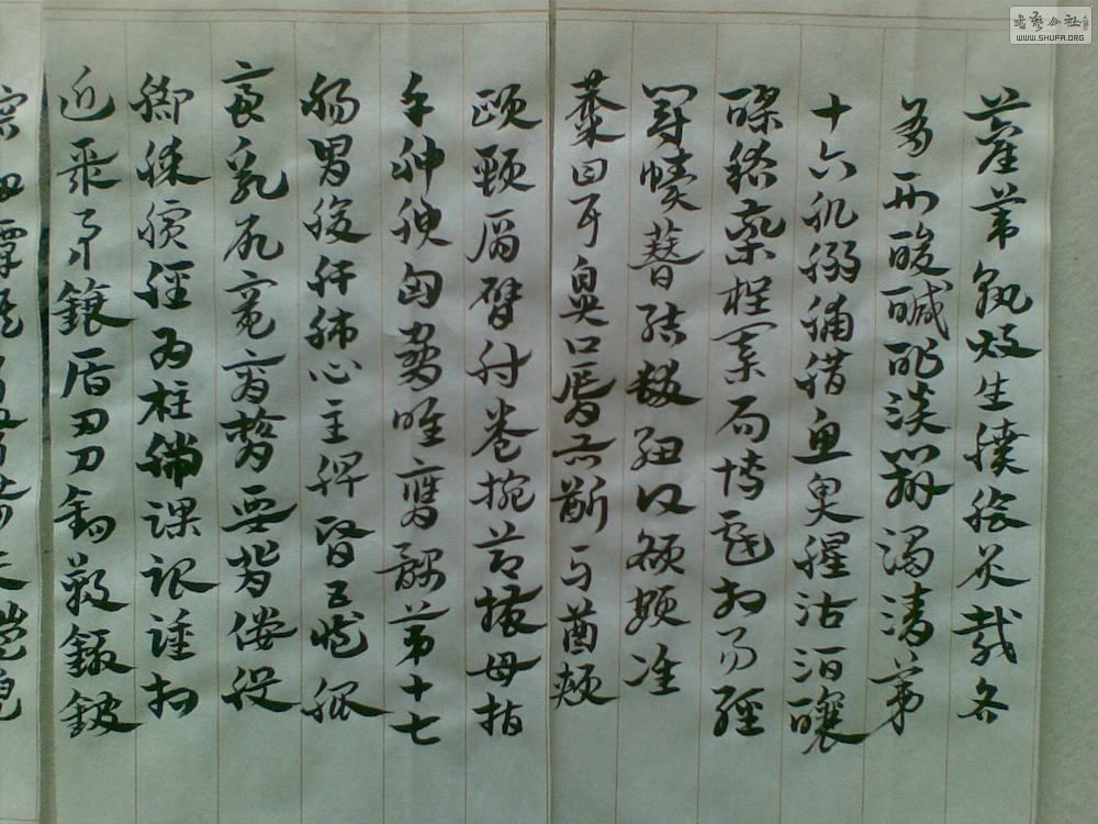 20130509(003).jpg