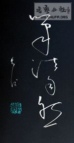 DSC07635.jpg