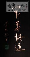 DSC08232.jpg