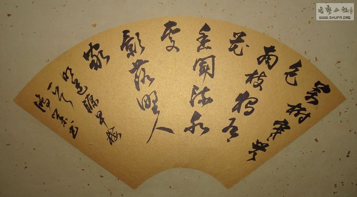 nEO_IMG_DSC04300.jpg