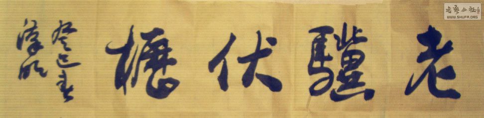 STP62082862jpg_.jpg