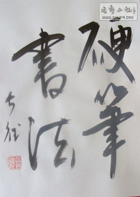 DSC08864.JPG