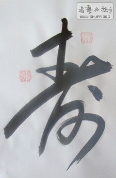 DSC08874.JPG