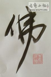 DSC08837.JPG