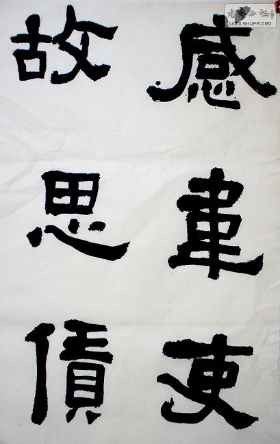 DSC02571.JPG