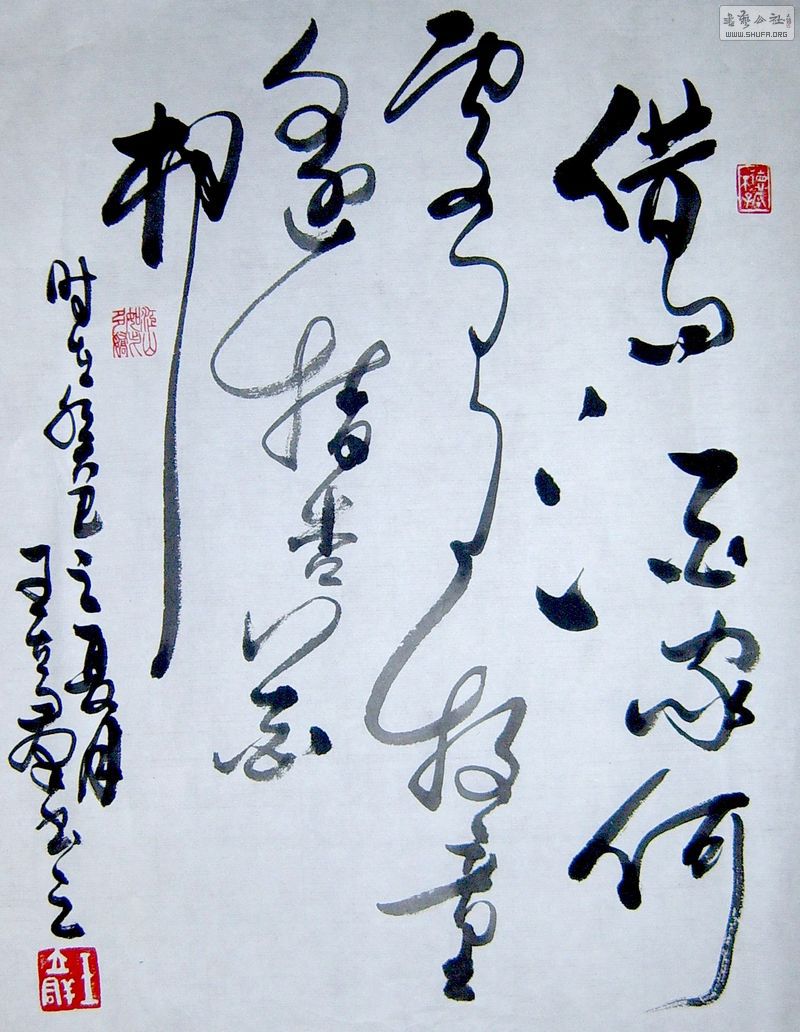 SUC54780.JPG