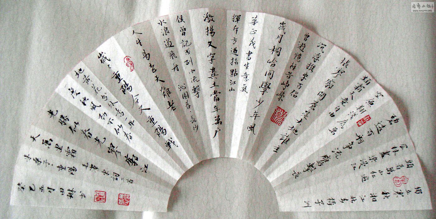 DSC07784.jpg