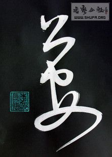 DSC08378.jpg