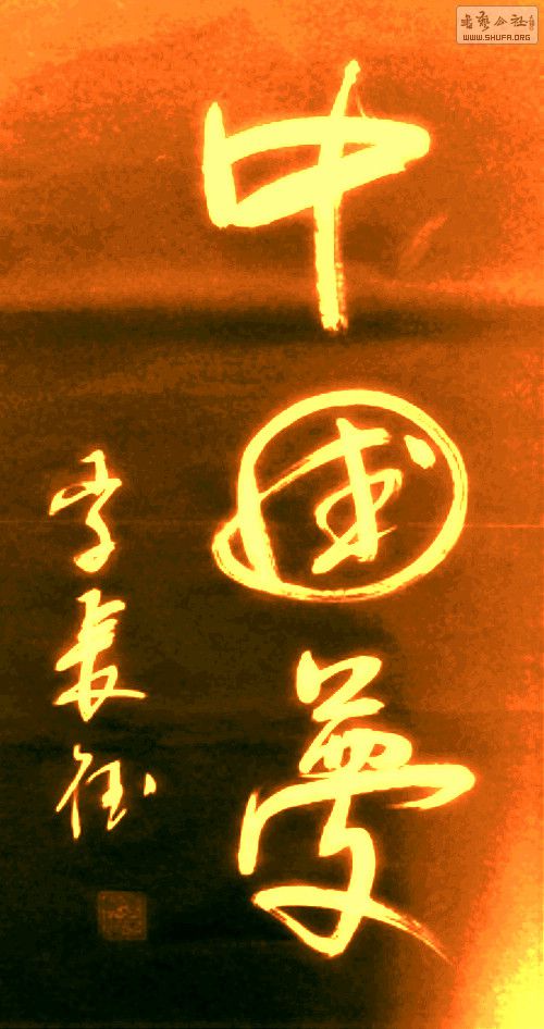 DSC08331.jpg