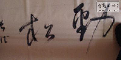 DSC07410.jpg