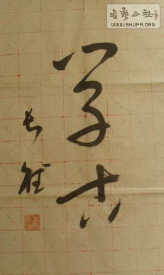 DSC09040.jpg