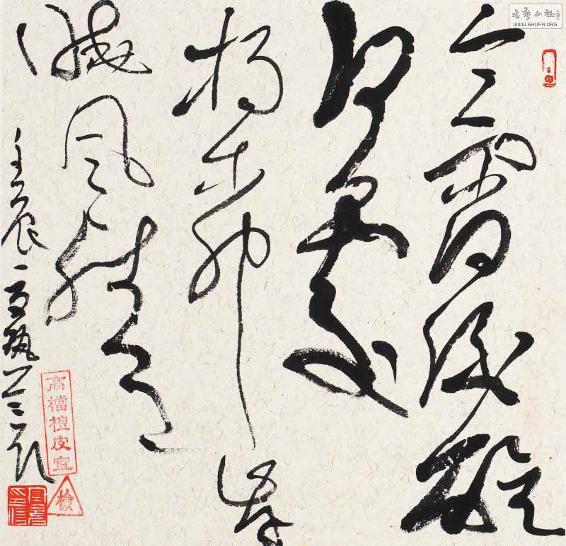 鷨ʯ