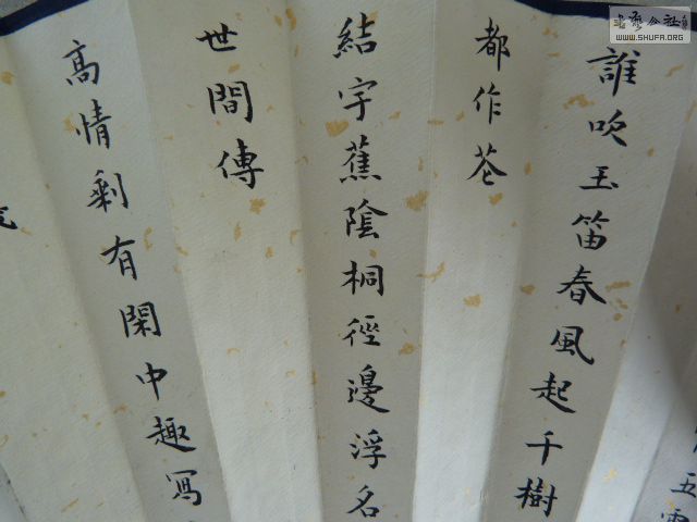 P1020614.JPG