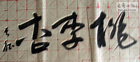 DSC09106.JPG