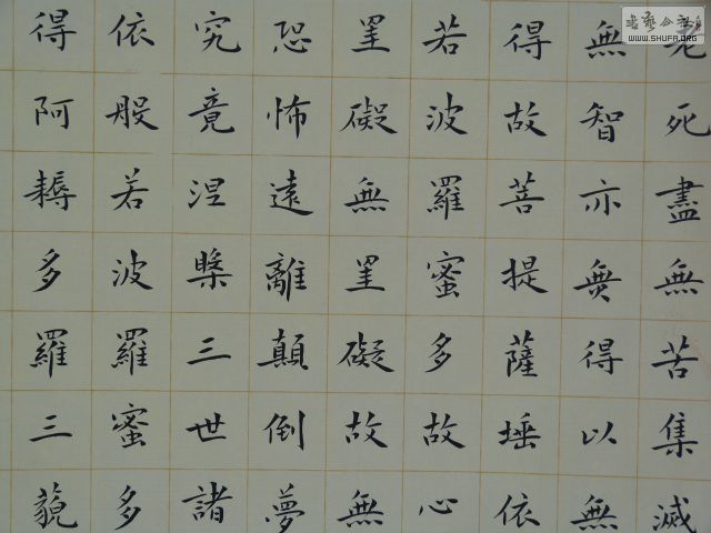 P1020654.JPG
