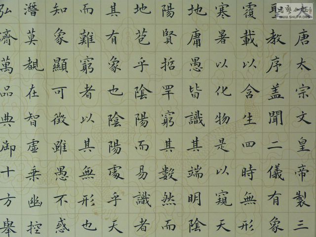 P1020656.JPG
