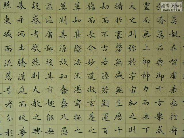 P1020657.JPG