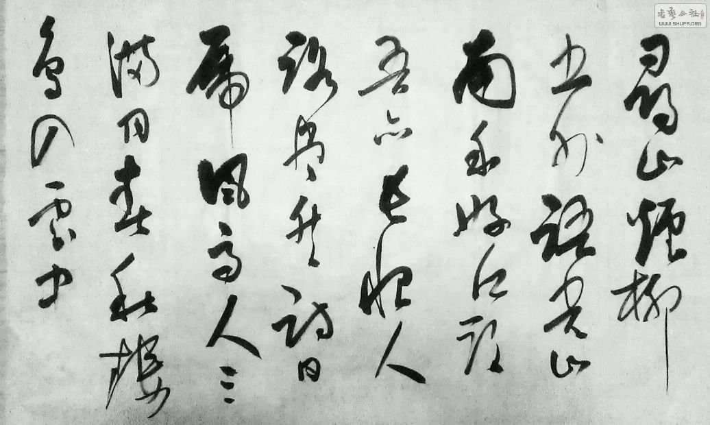 IMAG0530-1-1.jpg
