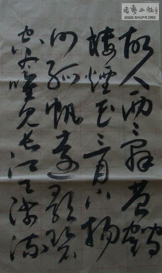 DSC09349.JPG