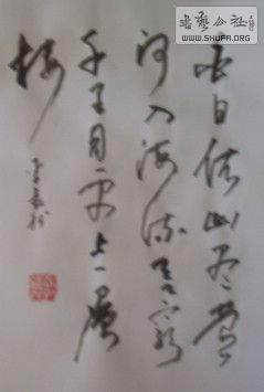 DSC09409.JPG