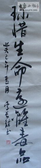 DSC09453.JPG