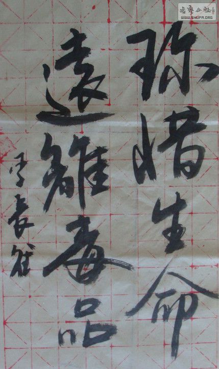 DSC09440.JPG