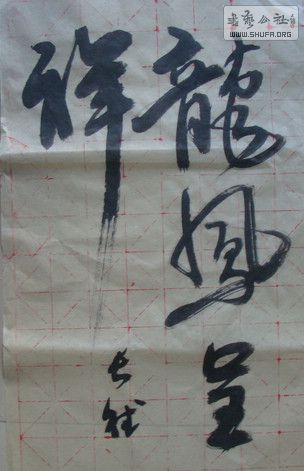 DSC09441.JPG