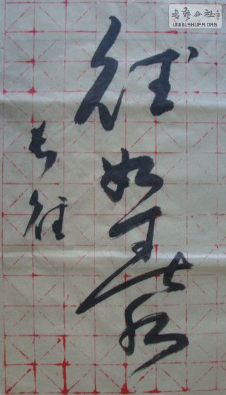 DSC09444.JPG