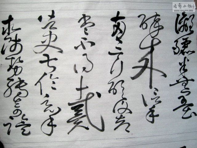 2ֲ2IMG_6095.jpg
