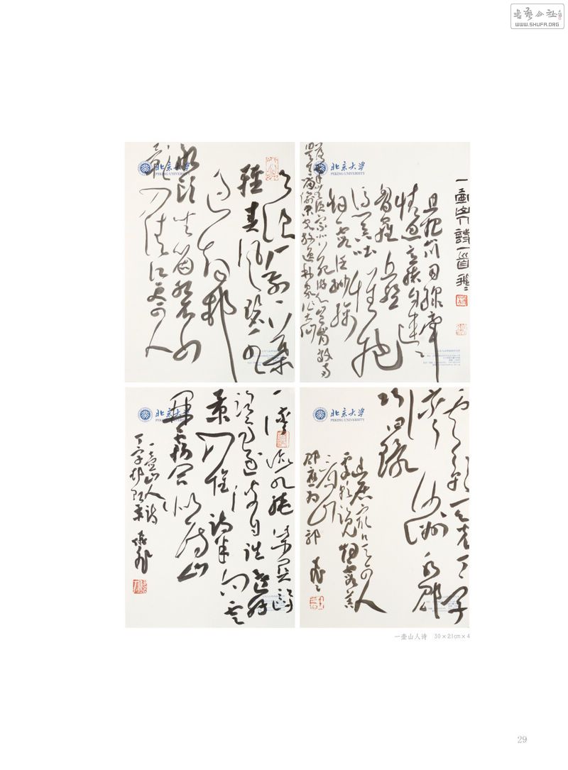 һɽʫ  3021cm4.jpg