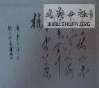 DSC09879.JPG