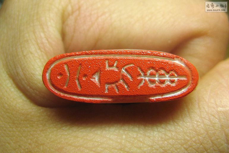 Ƭ 16901.jpg