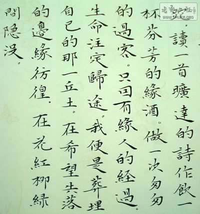 DSC04868.JPG