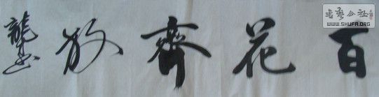 DSC00037.JPG