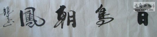 DSC00046.JPG