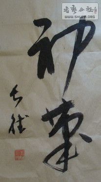 DSC00032.JPG
